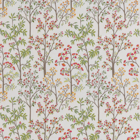 G P & J BAKER PENALLY RED/GREEN