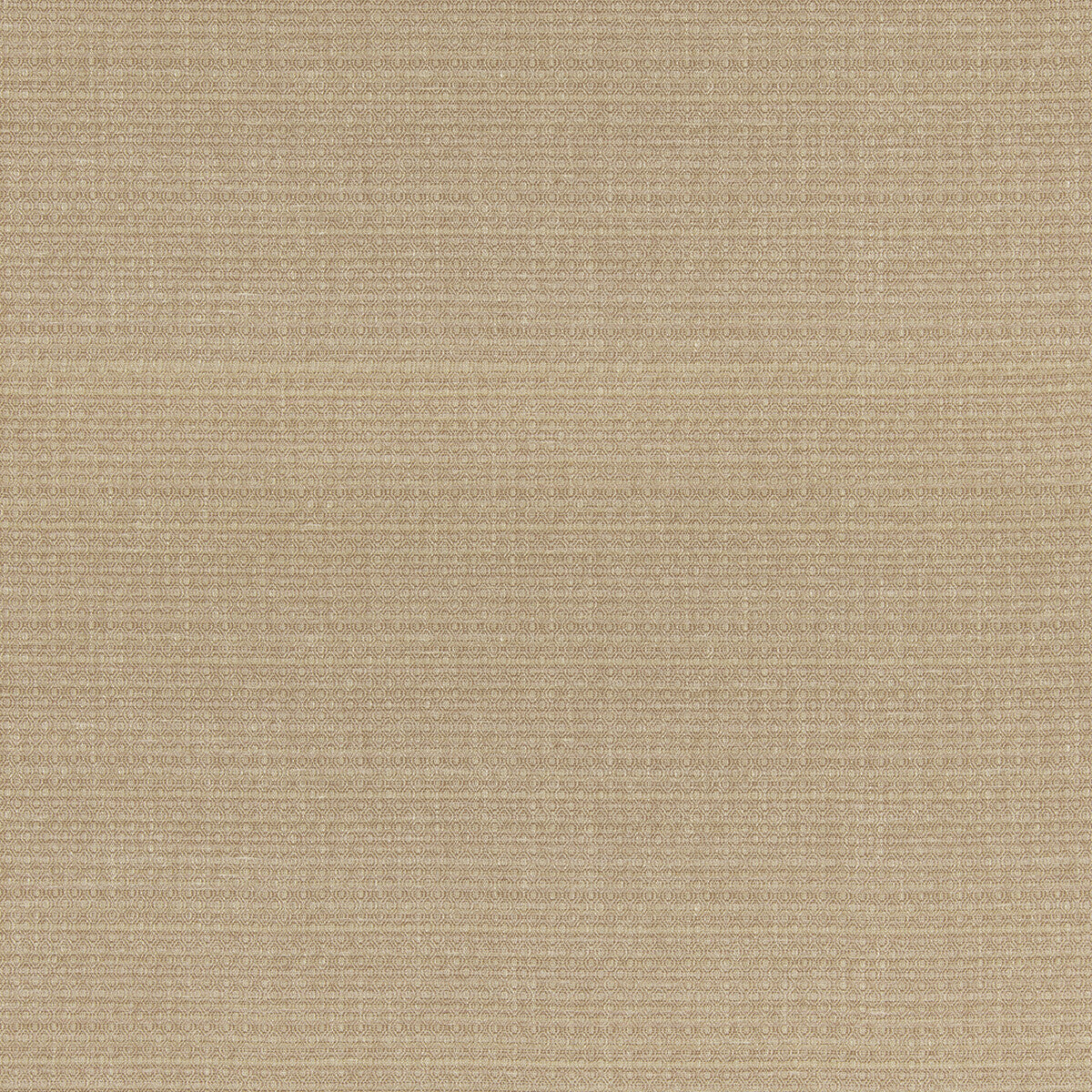 G P & J BAKER SAXON CORAL