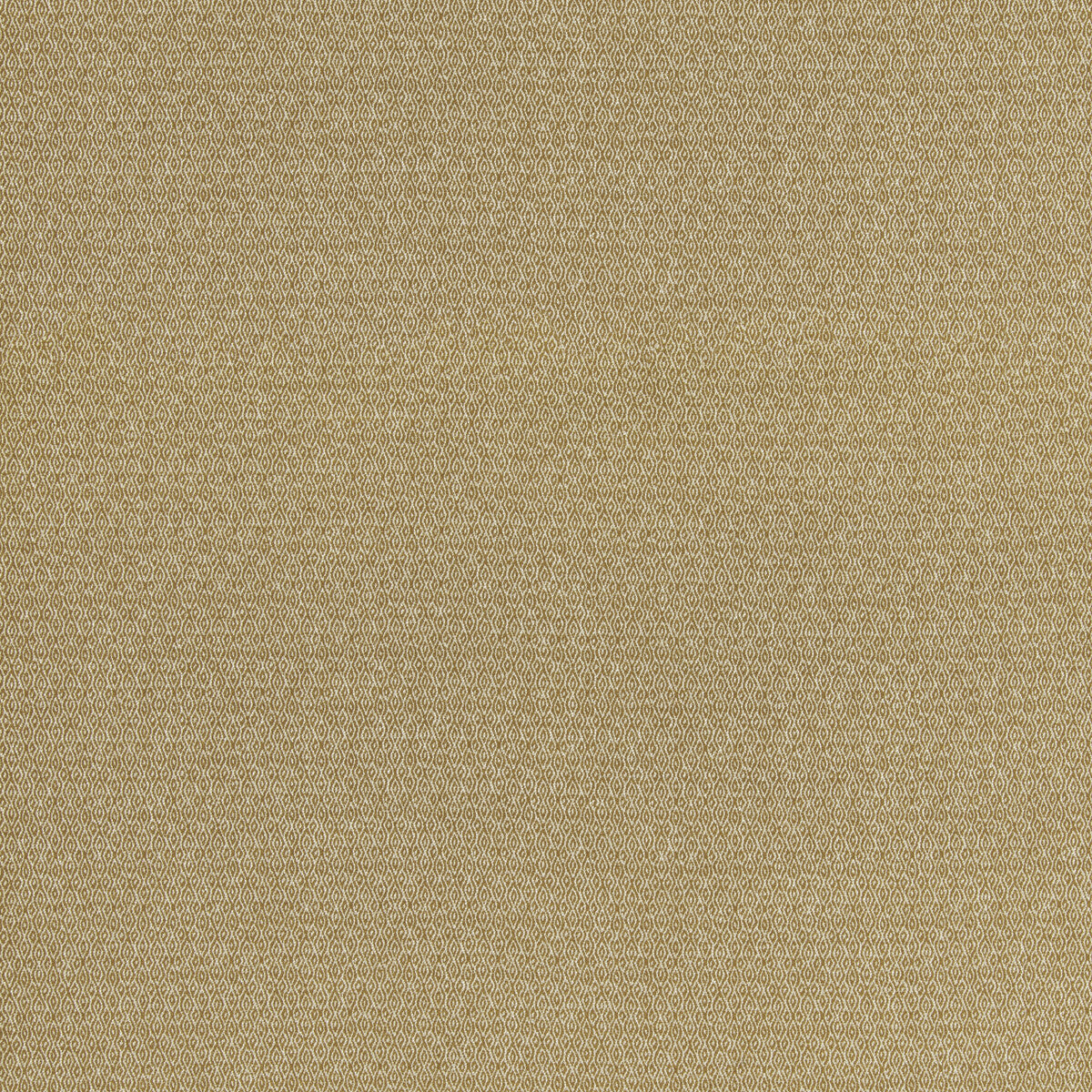G P & J BAKER MORTON OCHRE