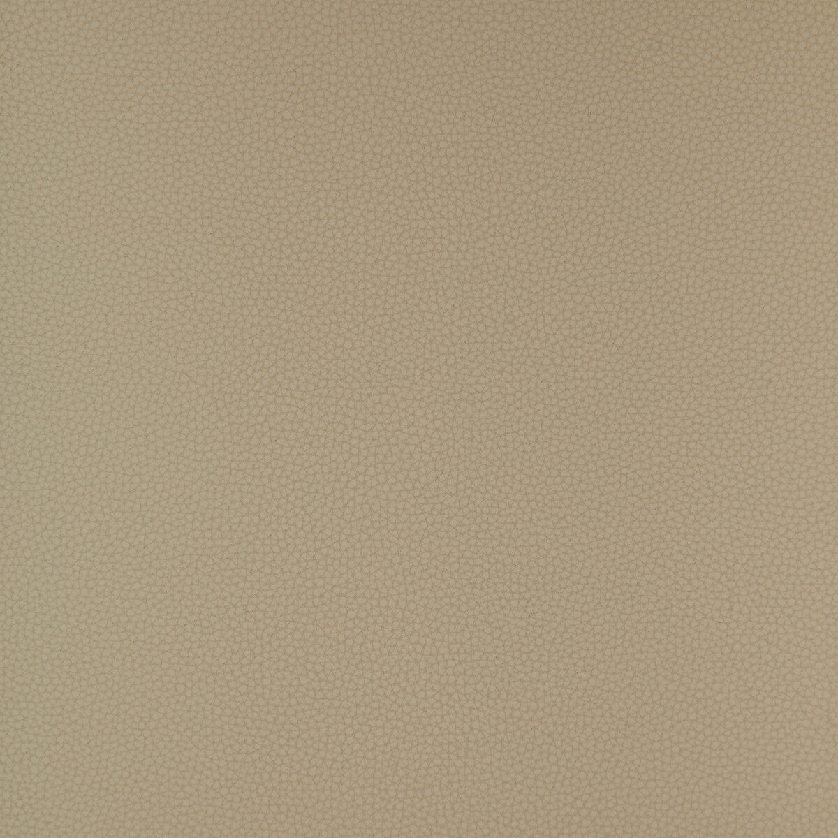 KRAVET DESIGN KRAVET DESIGN BIND-11