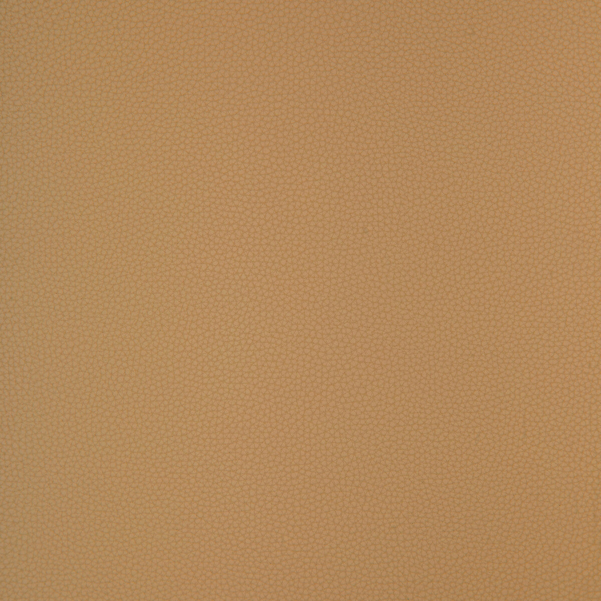 KRAVET DESIGN KRAVET DESIGN BIND-116