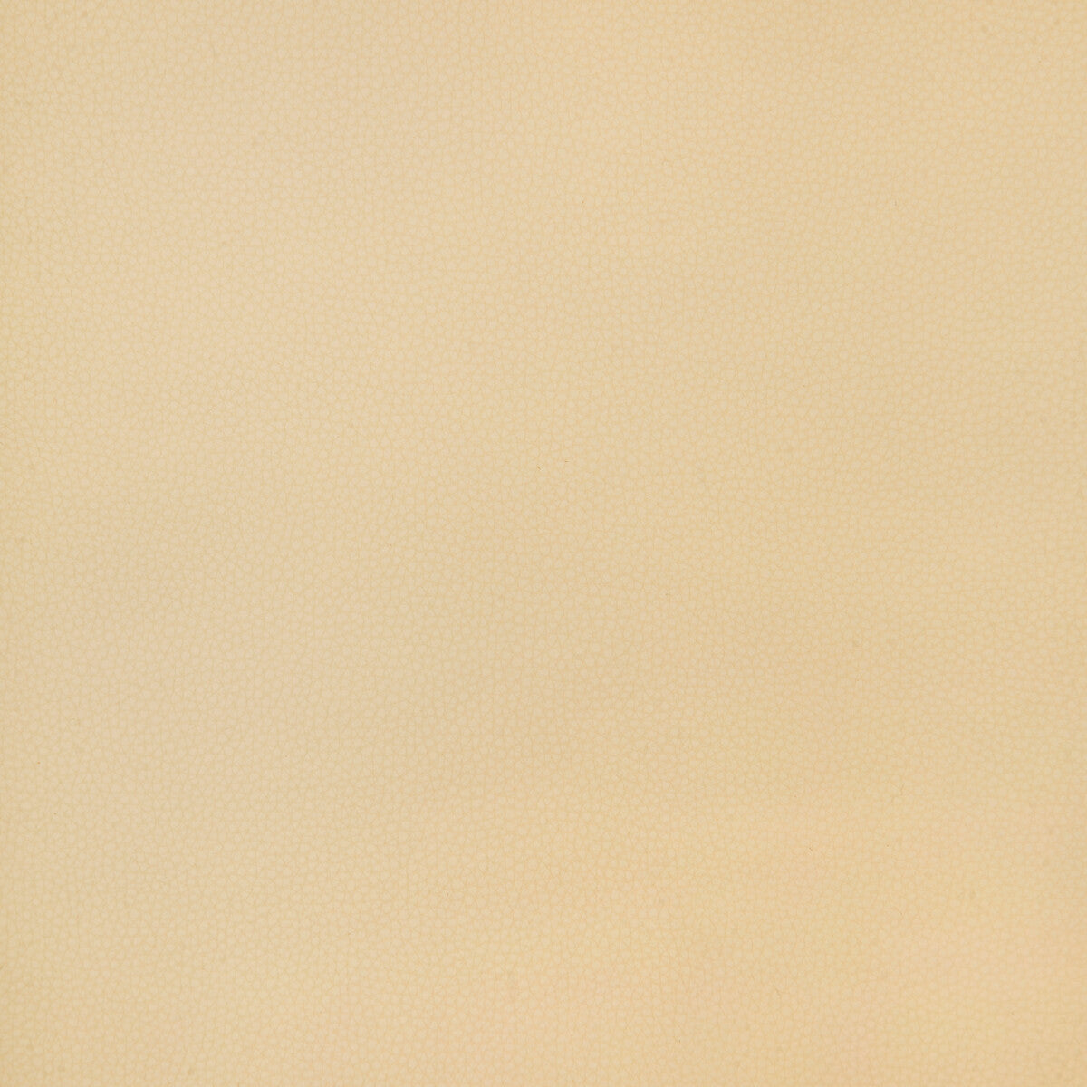 KRAVET DESIGN KRAVET DESIGN BIND-16