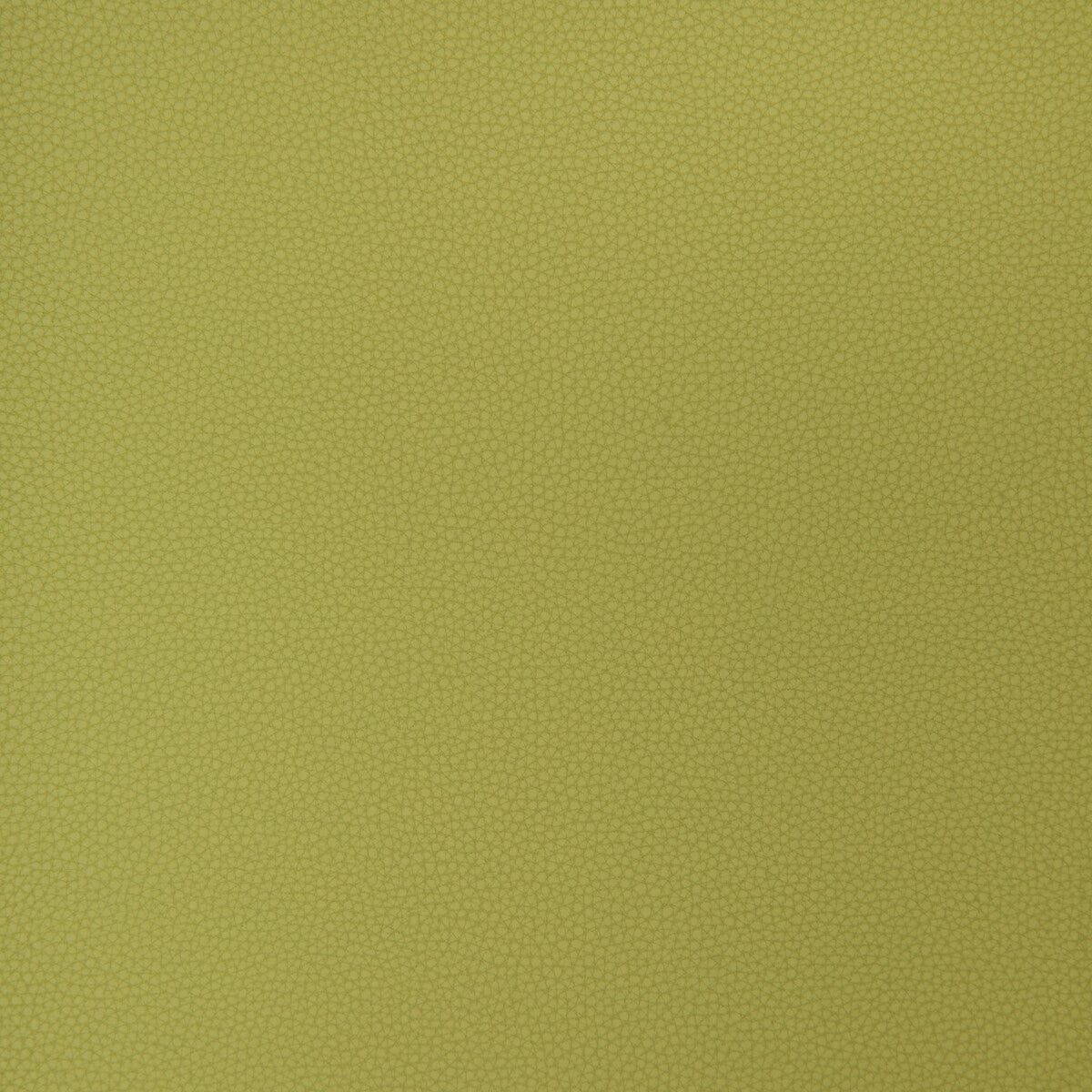 KRAVET DESIGN KRAVET DESIGN BIND-23