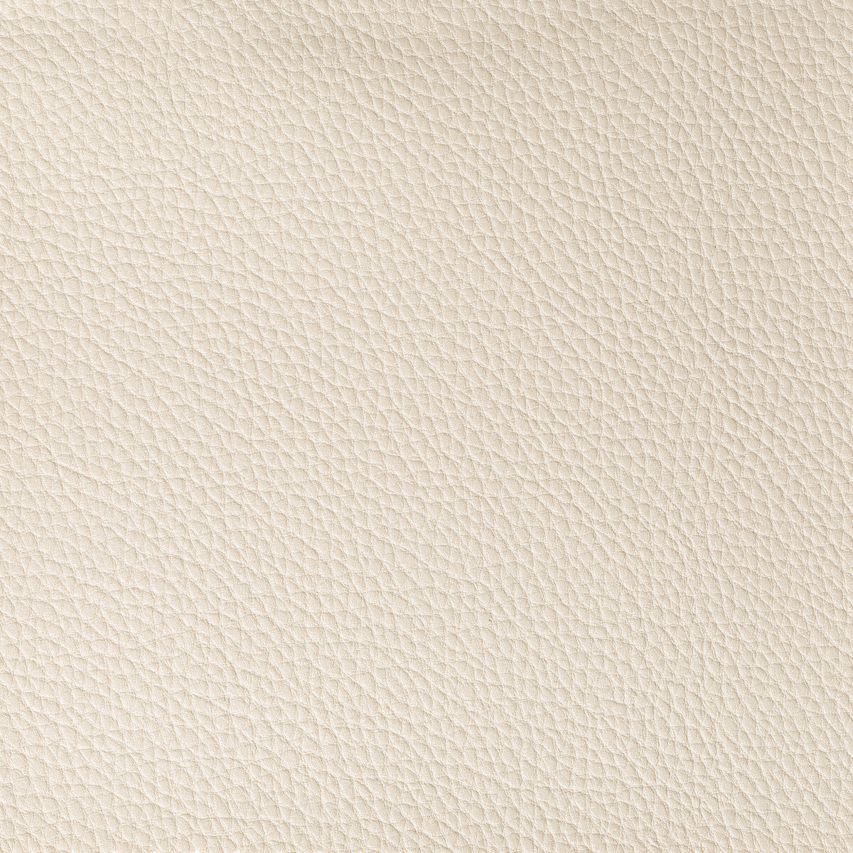 KRAVET CONTRACT BOONE CONCH