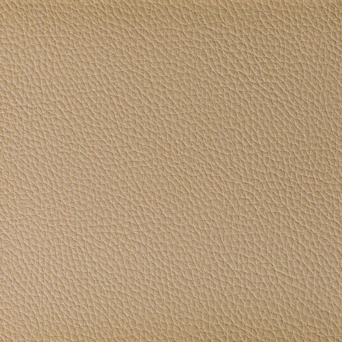 KRAVET CONTRACT BOONE DUNE