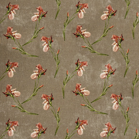 G P & J BAKER BAKER IRIS MOLE