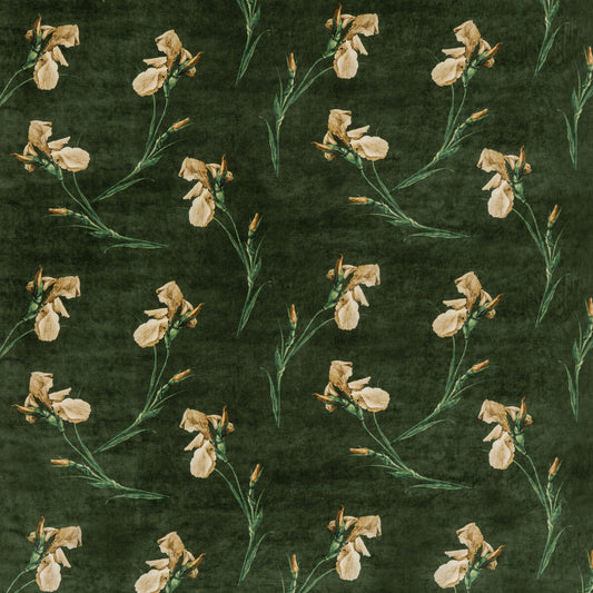 G P & J BAKER BAKER IRIS EMERALD