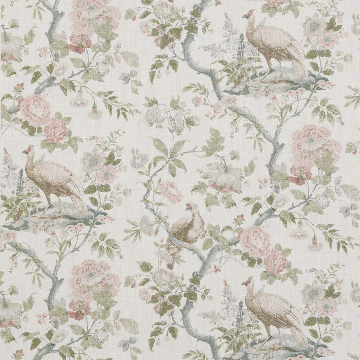 G P & J BAKER BROUGHTON ROSE BLUSH