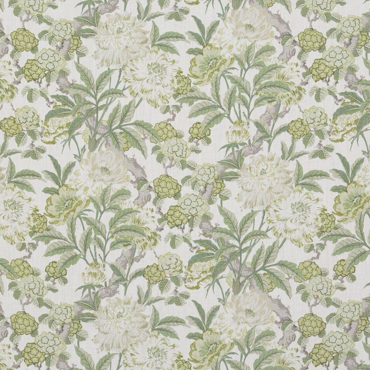 G P & J BAKER SUMMER PEONY GREEN