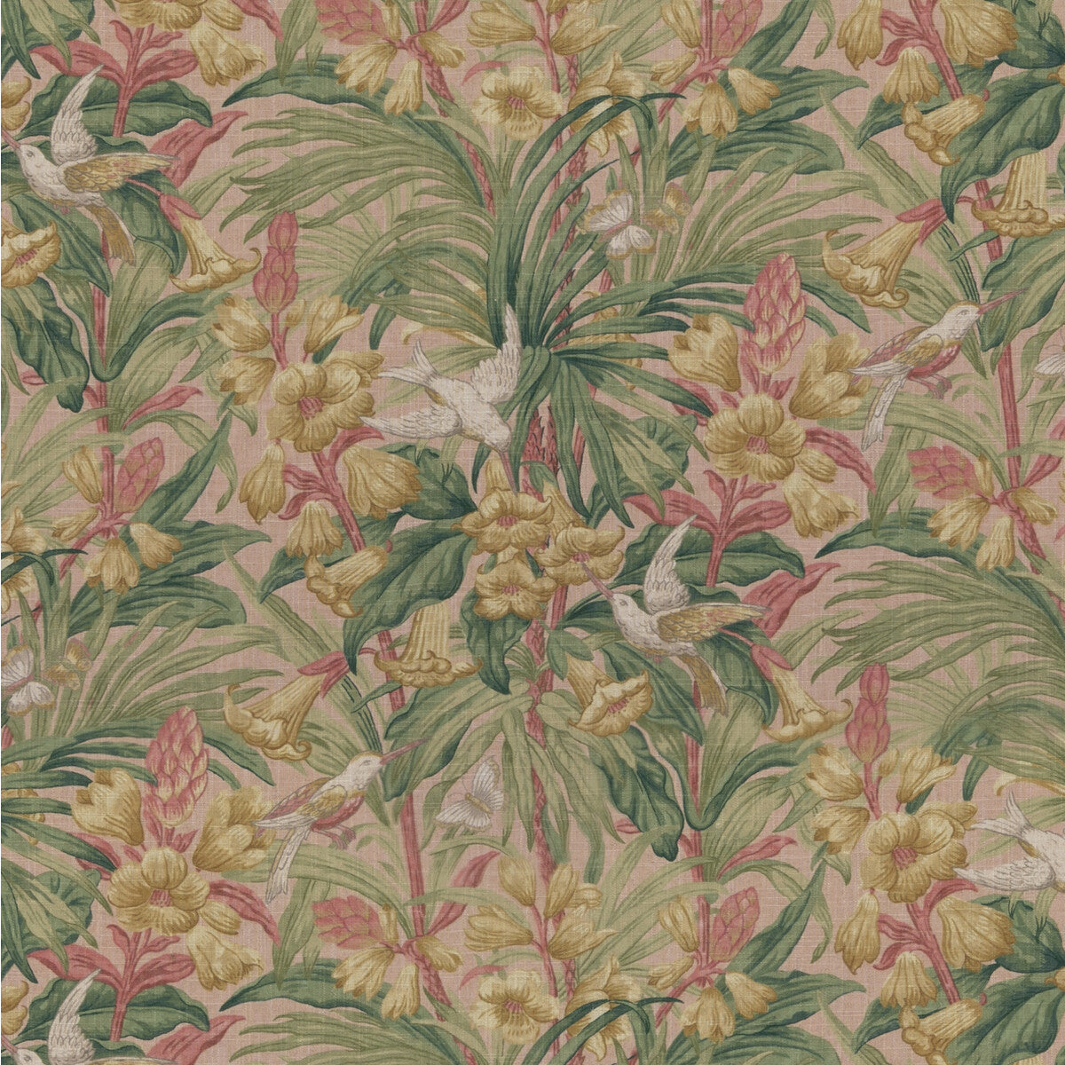 G P & J BAKER TRUMPET FLOWERS BLUSH