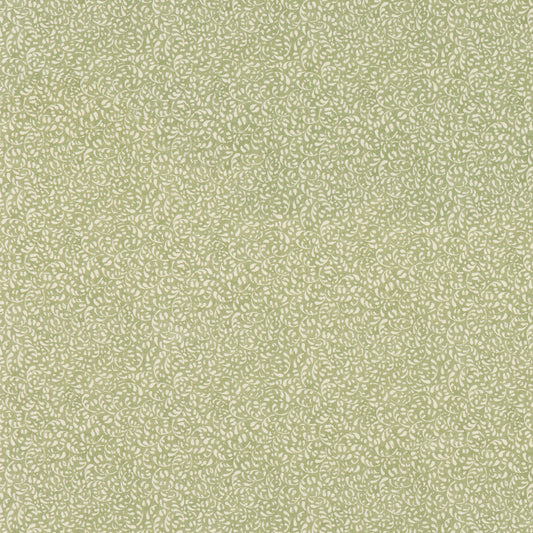 G P & J BAKER TANSY GREEN