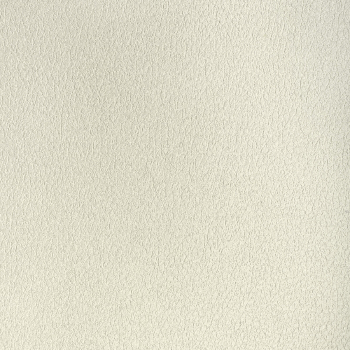 KRAVET DESIGN KRAVET DESIGN BUFF-1116