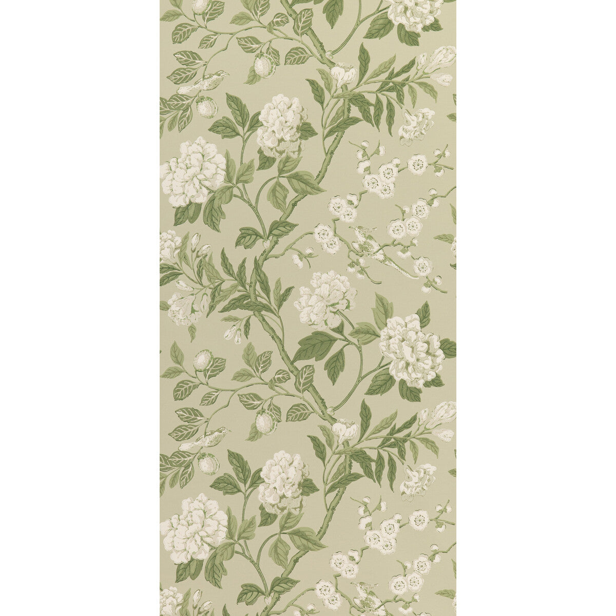 G P & J BAKER EMPEROR'S GARDEN SOFT GREEN