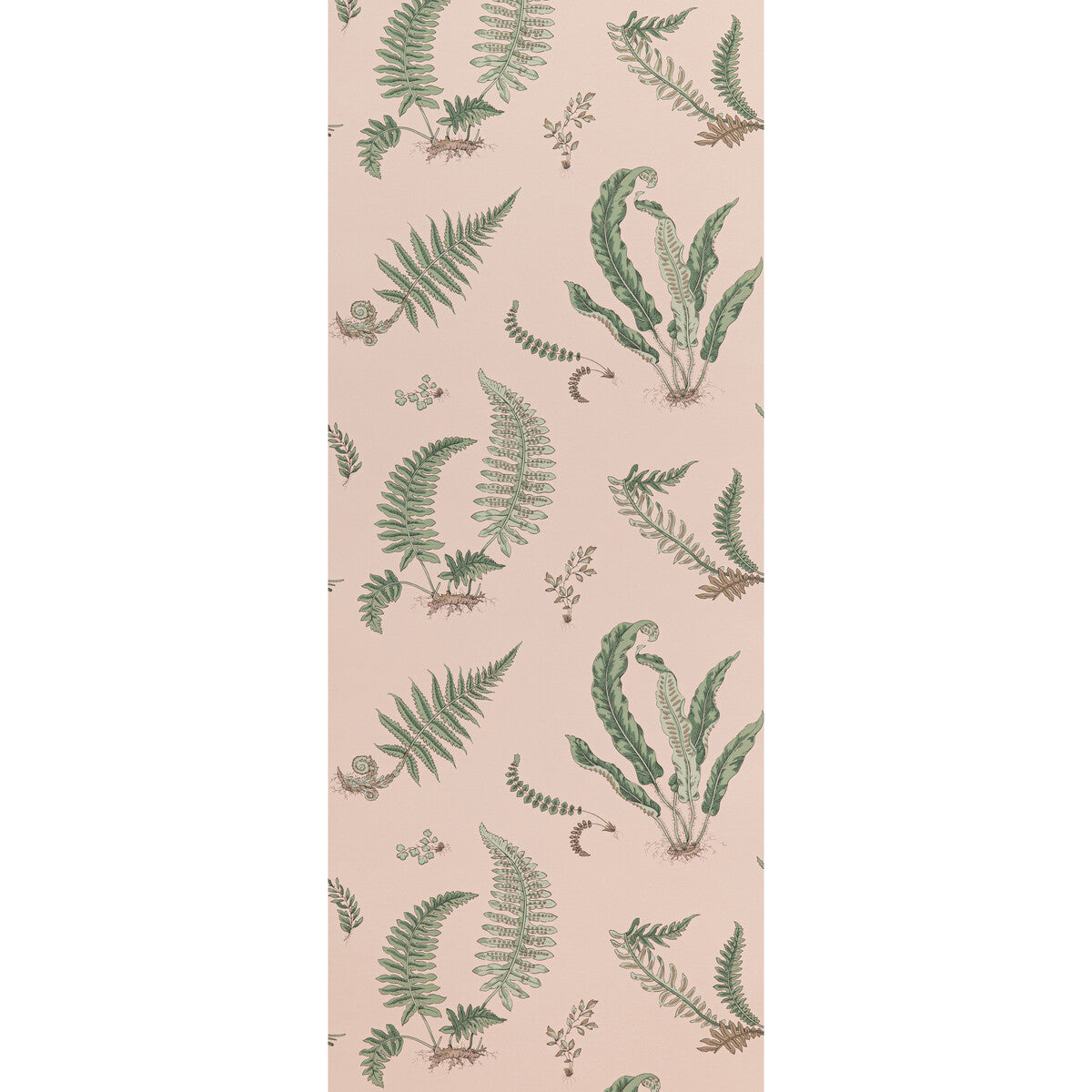 G P & J BAKER FERNS BLUSH