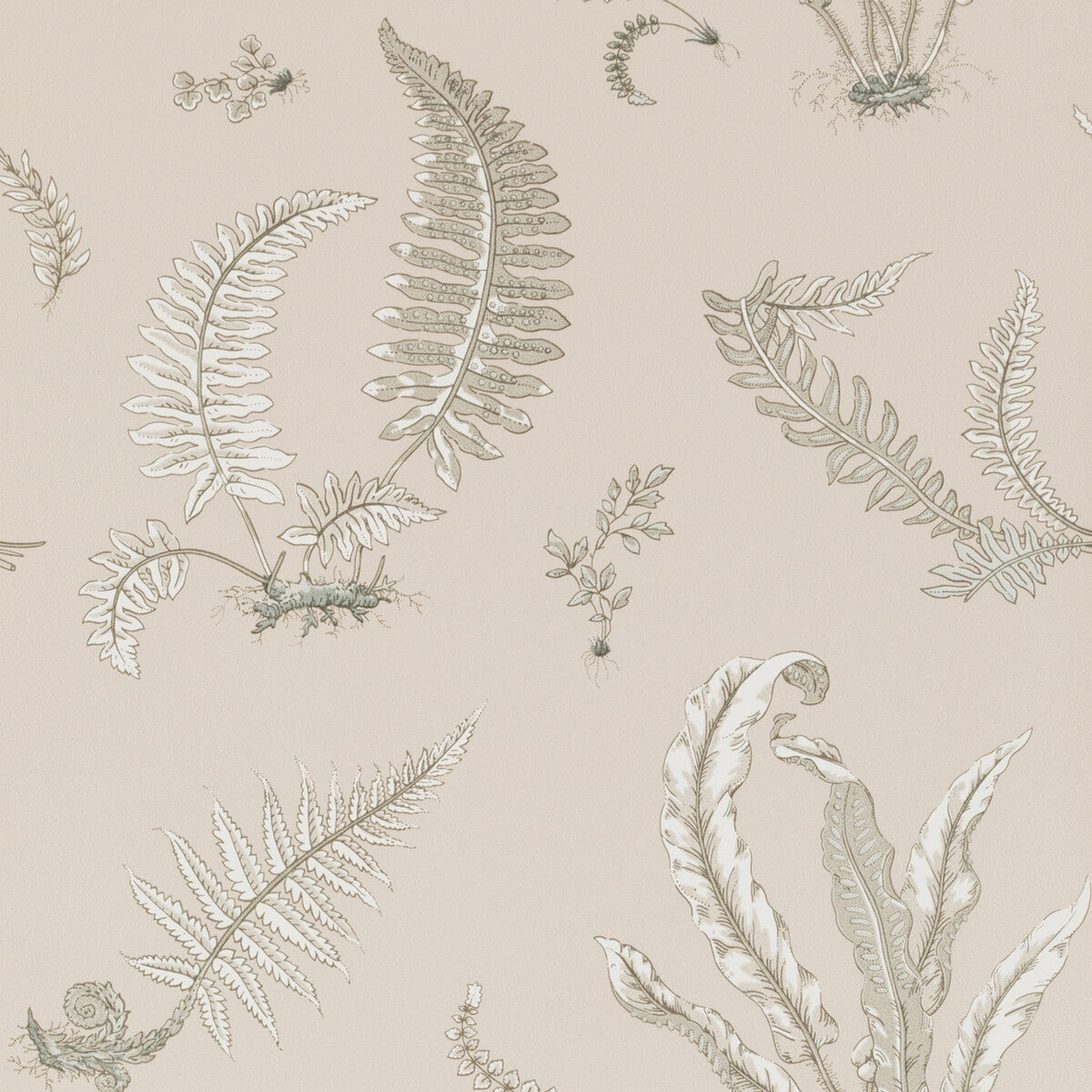 G P & J BAKER FERNS LINEN