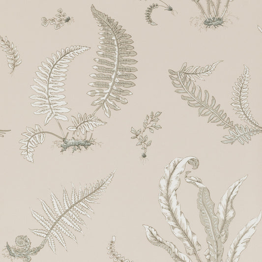 G P & J BAKER FERNS LINEN