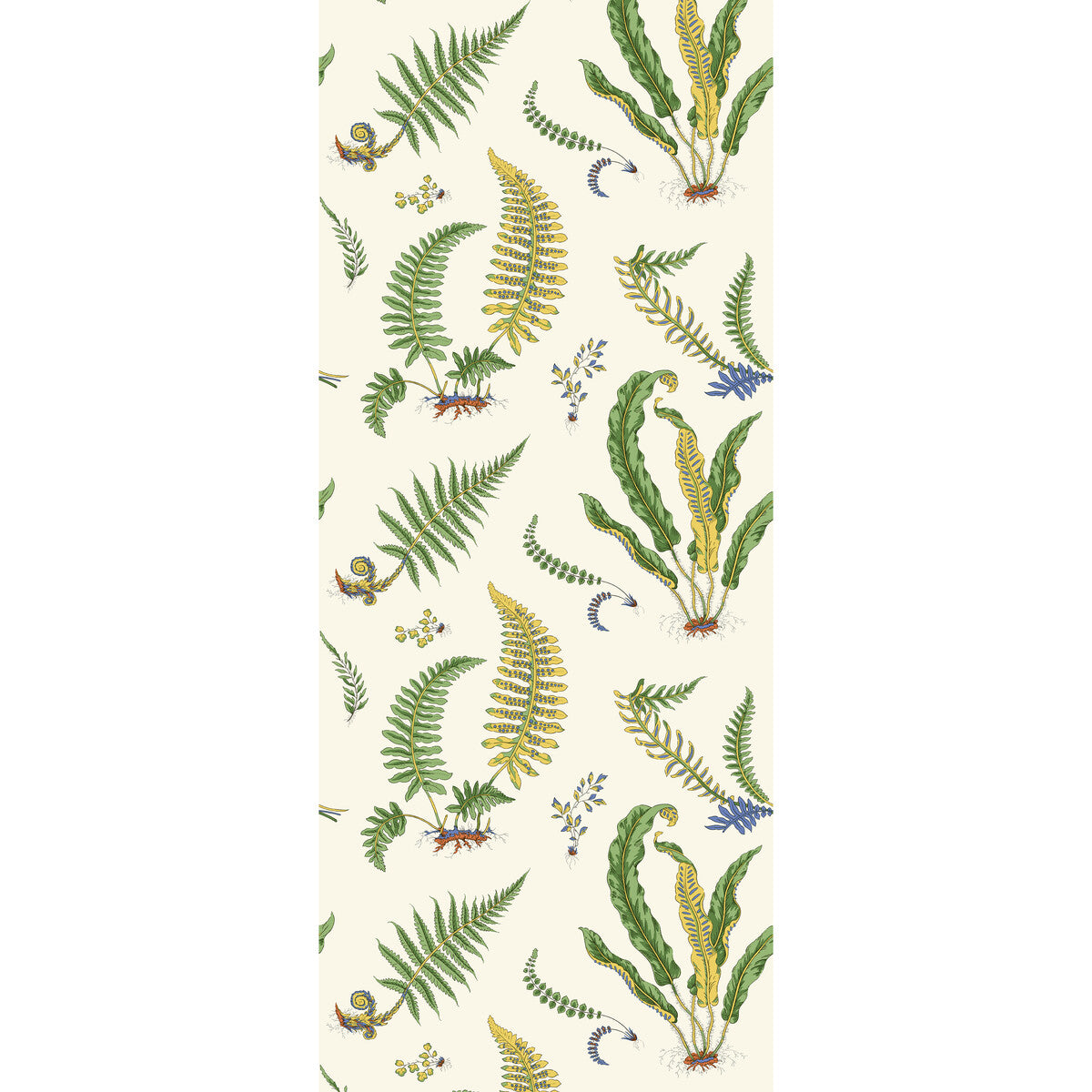 G P & J BAKER FERNS EMERALD