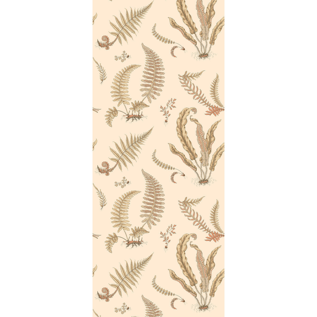 G P & J BAKER FERNS PARCHMENT