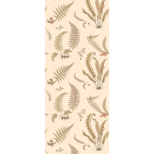 G P & J BAKER FERNS PARCHMENT