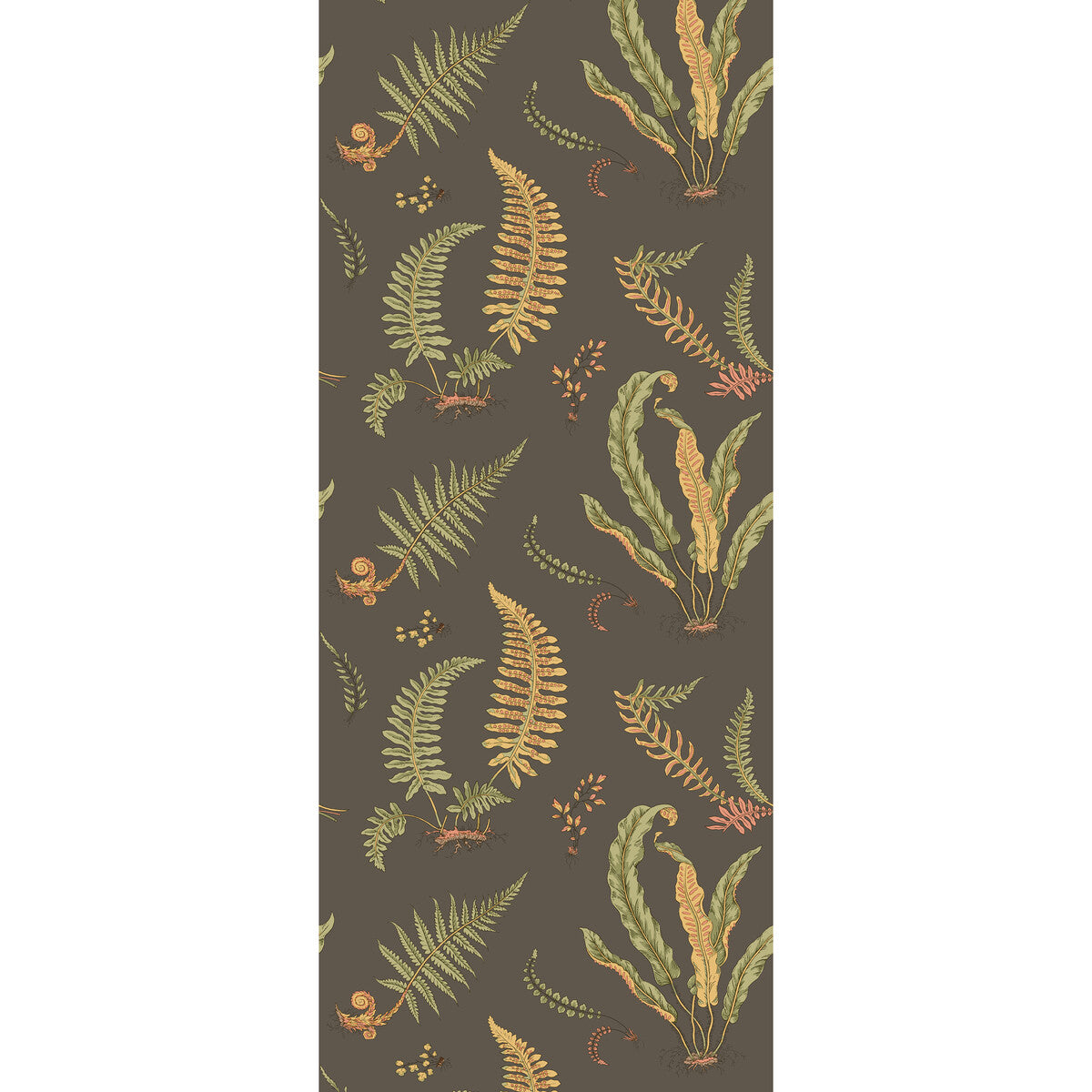 G P & J BAKER FERNS CHARCOAL