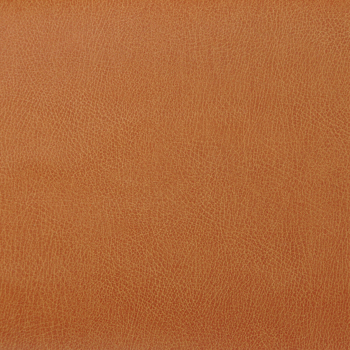 KRAVET DESIGN KRAVET DESIGN CASWELL-12