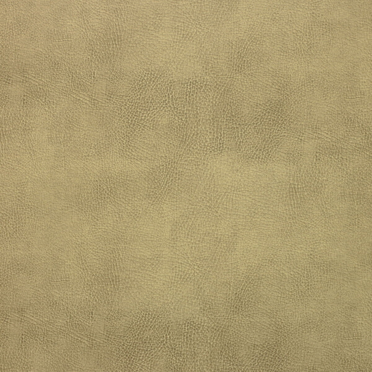 KRAVET DESIGN KRAVET DESIGN CASWELL-16
