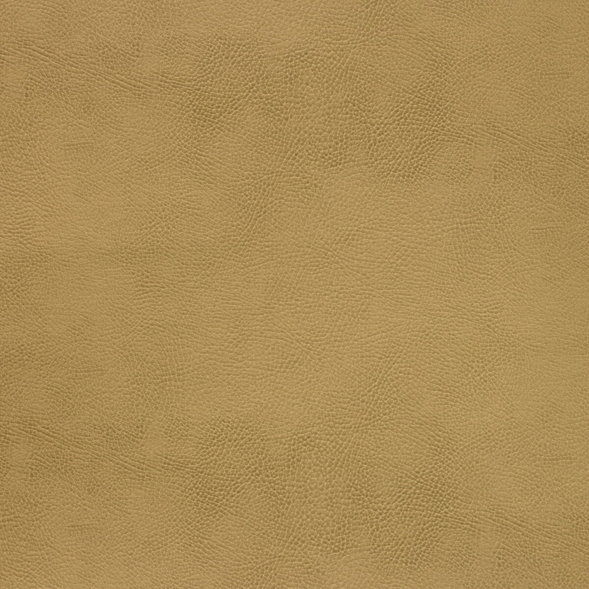 KRAVET DESIGN KRAVET DESIGN CASWELL-4