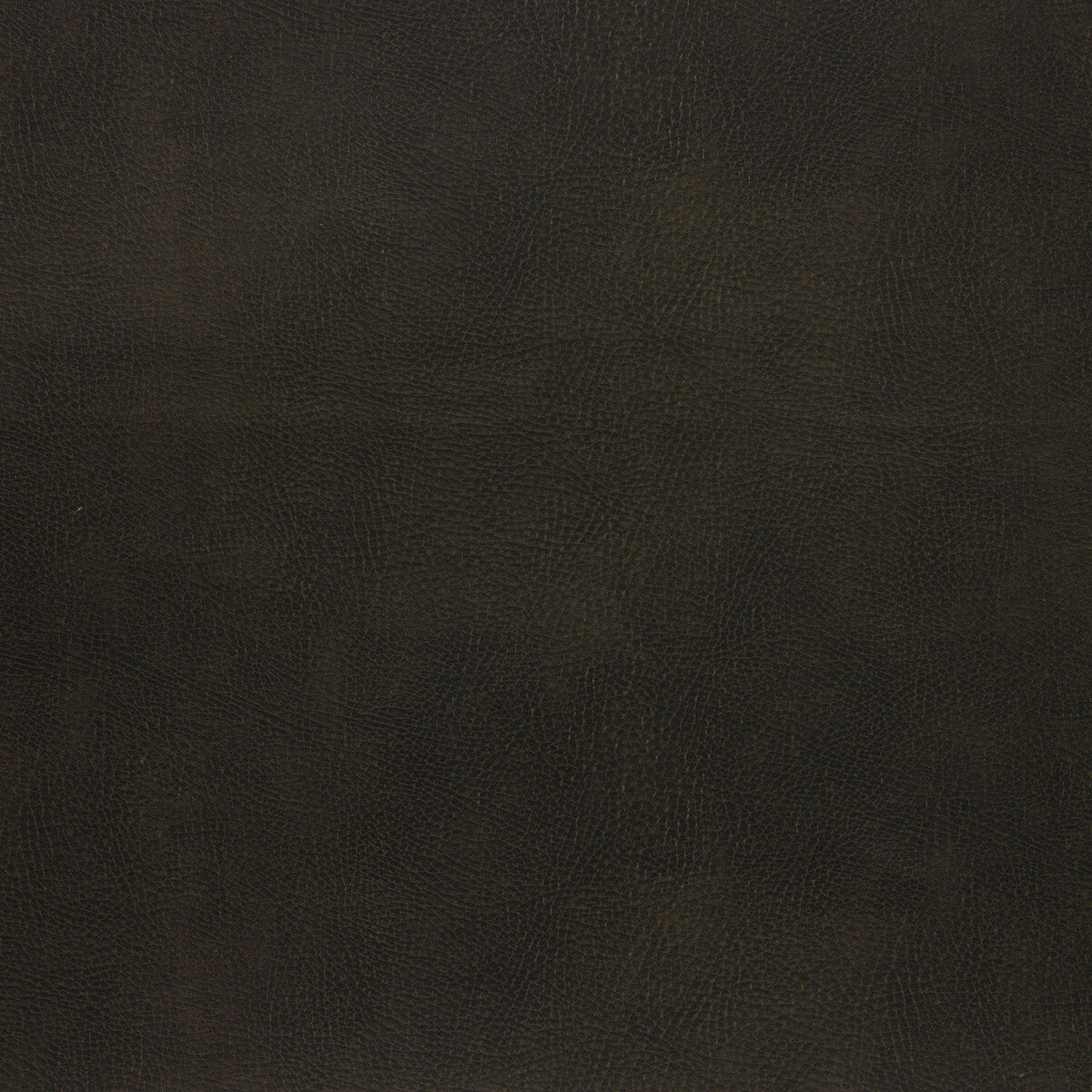 KRAVET DESIGN KRAVET DESIGN CASWELL-66