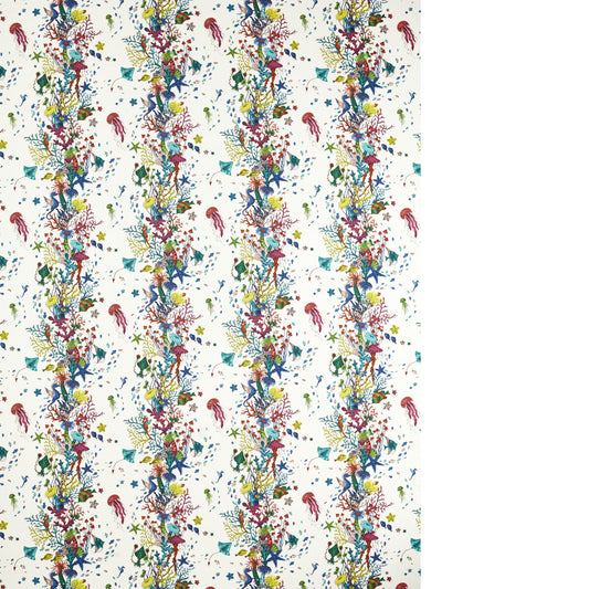 CLARKE AND CLARKE SEAFOREST OUTDOOR MULTI