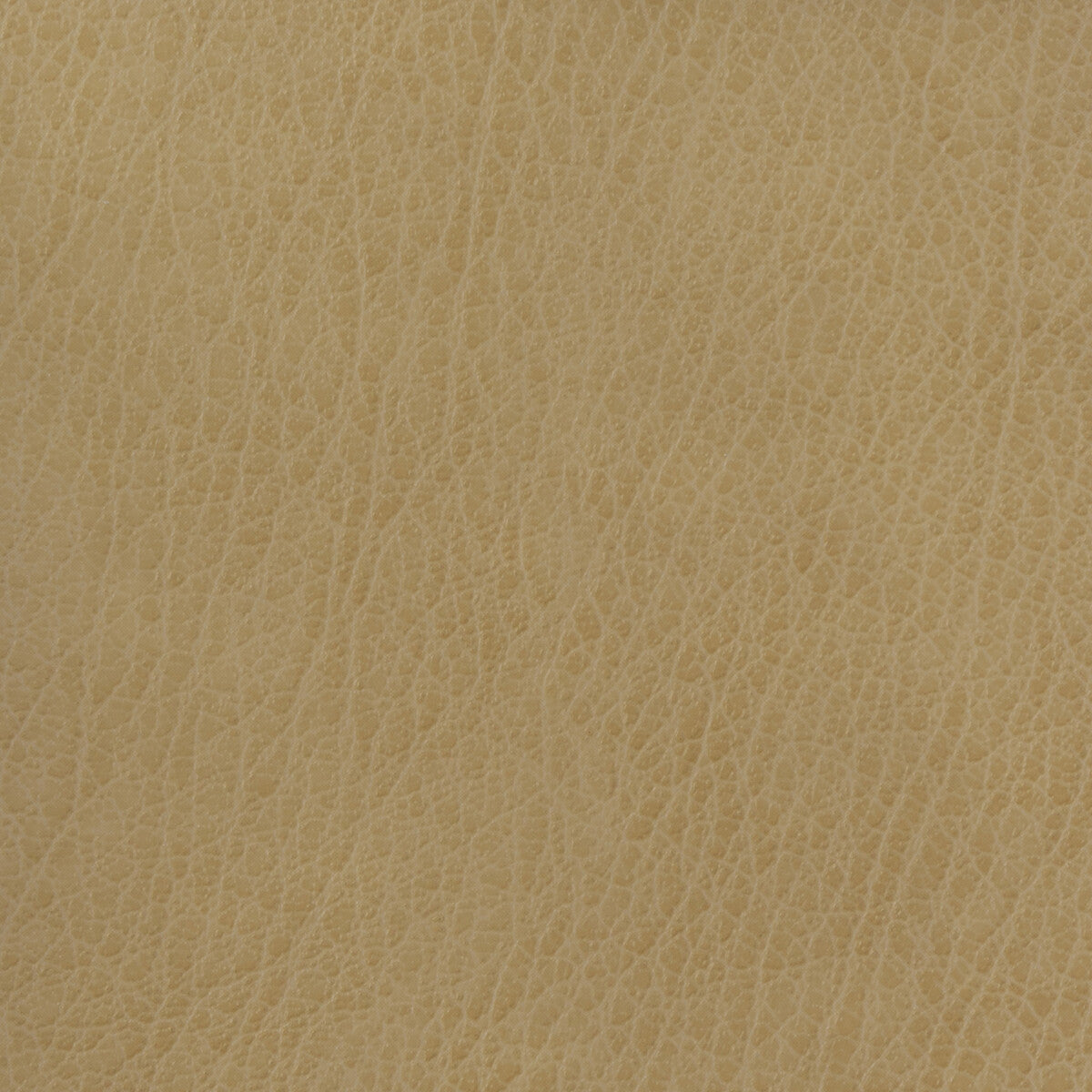 KRAVET BASICS KRAVET BASICS CELINE-106