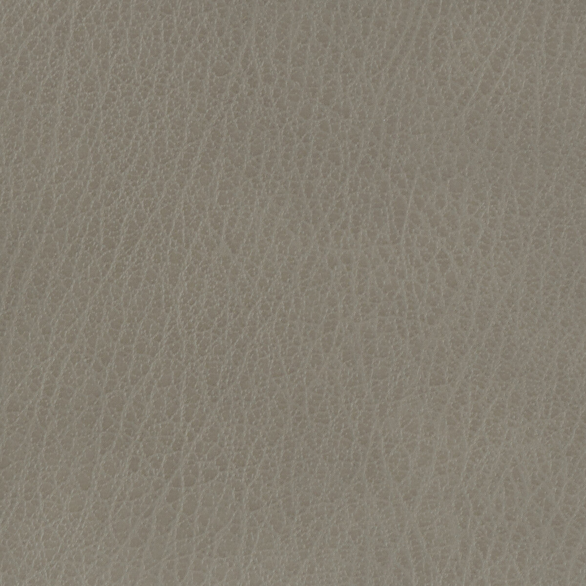 KRAVET BASICS KRAVET BASICS CELINE-11