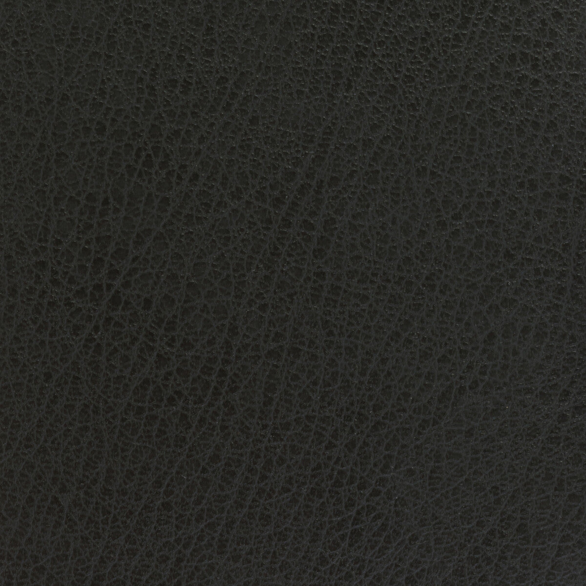 KRAVET BASICS KRAVET BASICS CELINE-21