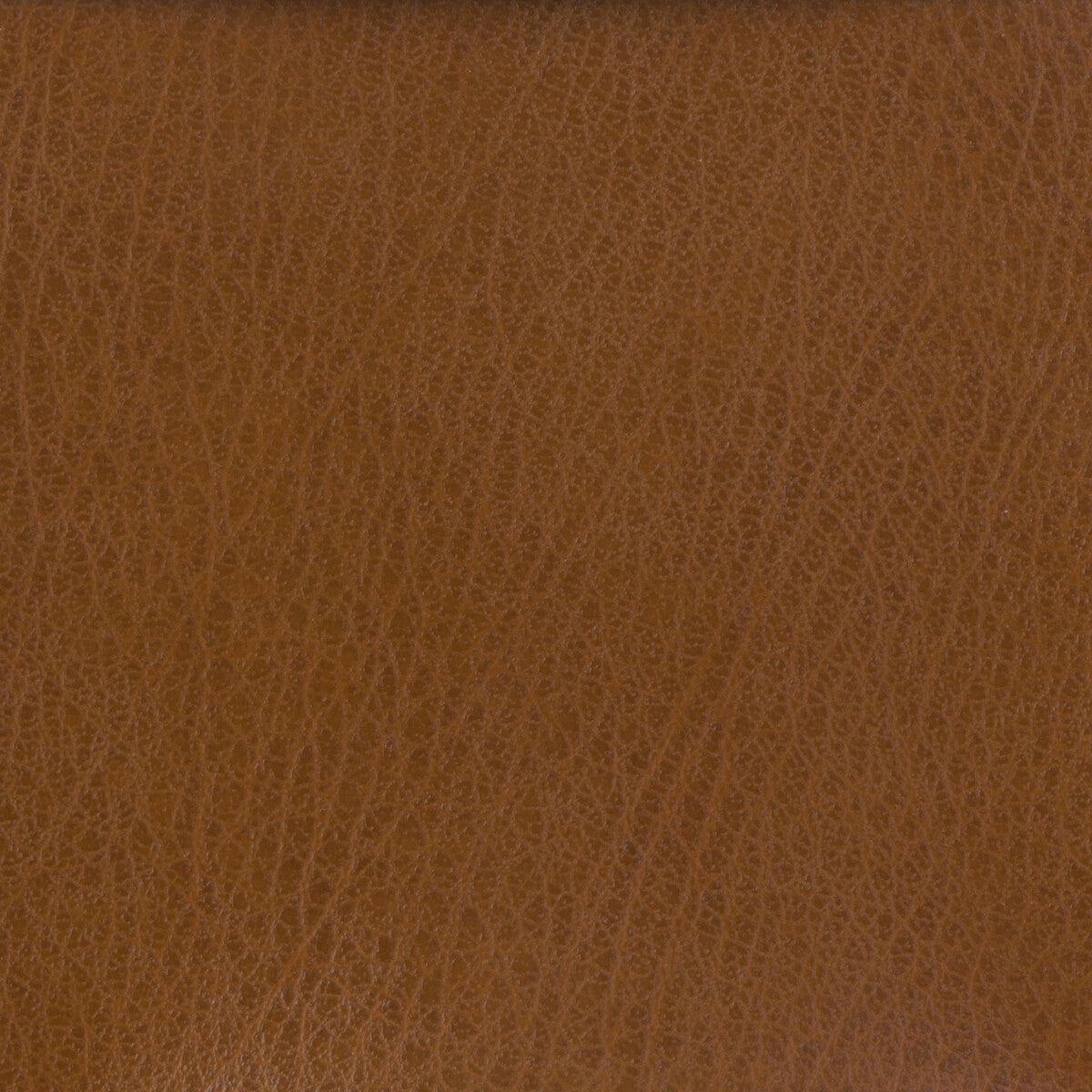 KRAVET BASICS KRAVET BASICS CELINE-6