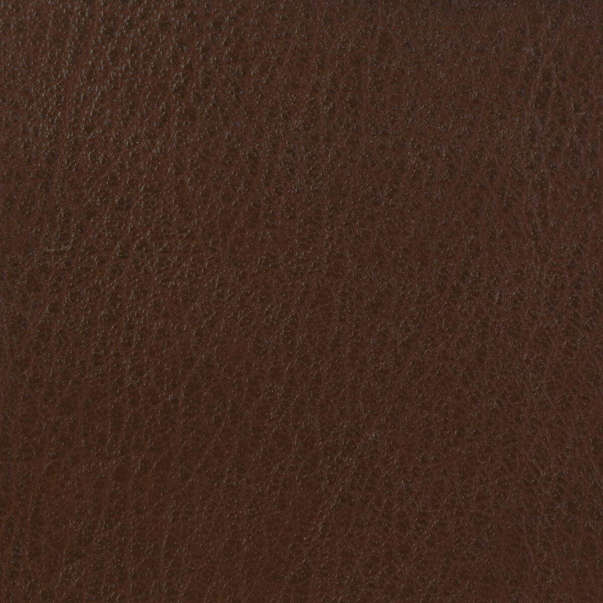 KRAVET BASICS KRAVET BASICS CELINE-616