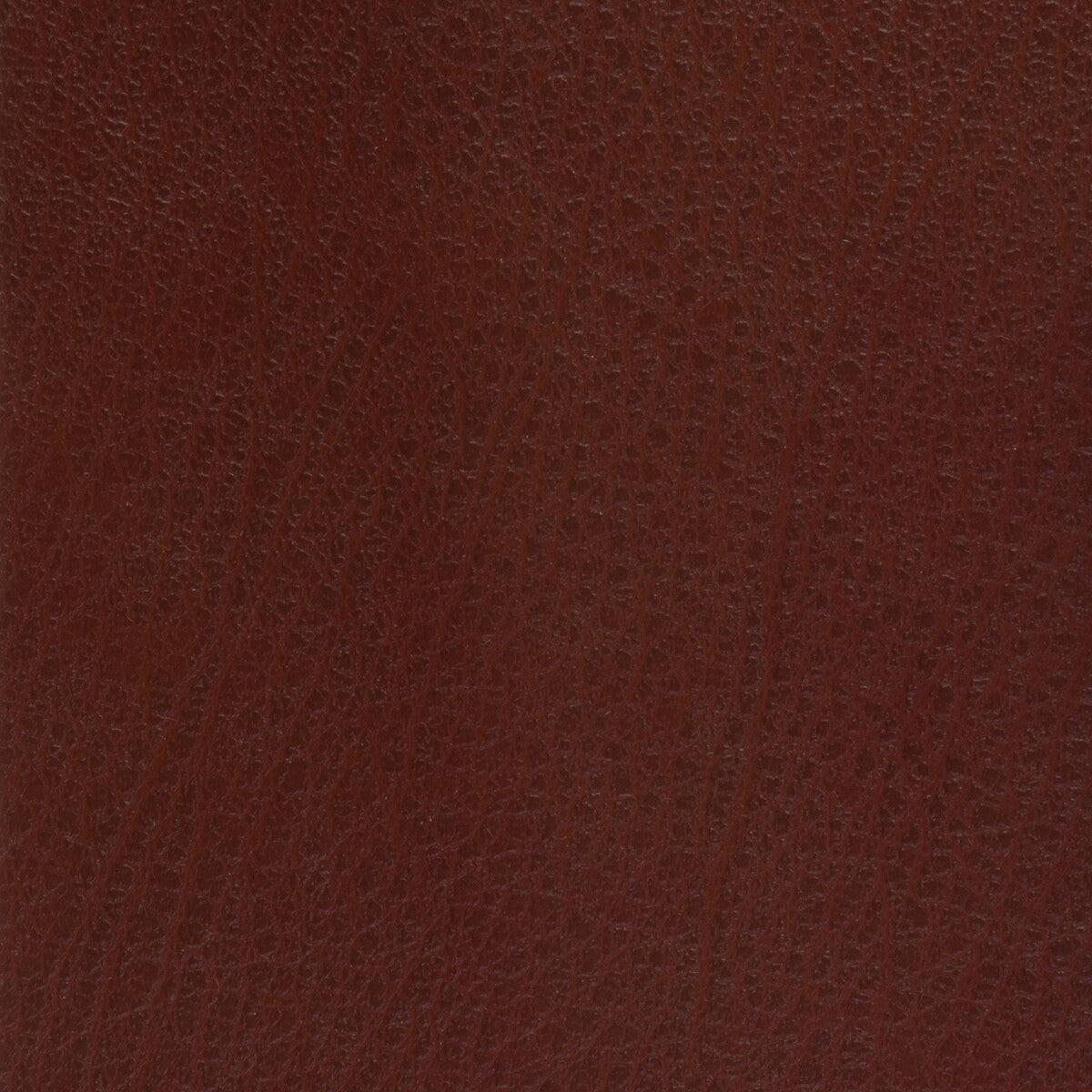KRAVET BASICS KRAVET BASICS CELINE-9
