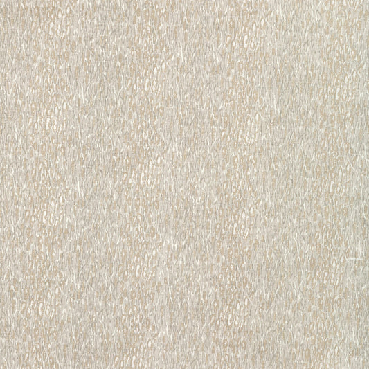 KRAVET BASICS CHROMIS OYSTER