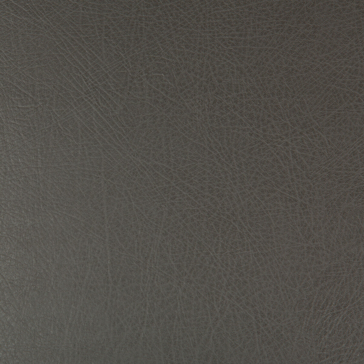 KRAVET DESIGN KRAVET DESIGN DEIMOS-21