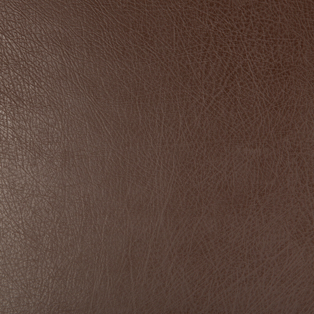 KRAVET DESIGN KRAVET DESIGN DEIMOS-6