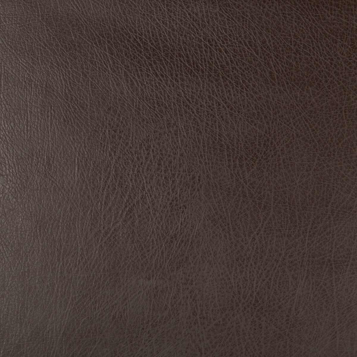 KRAVET DESIGN KRAVET DESIGN DEIMOS-66