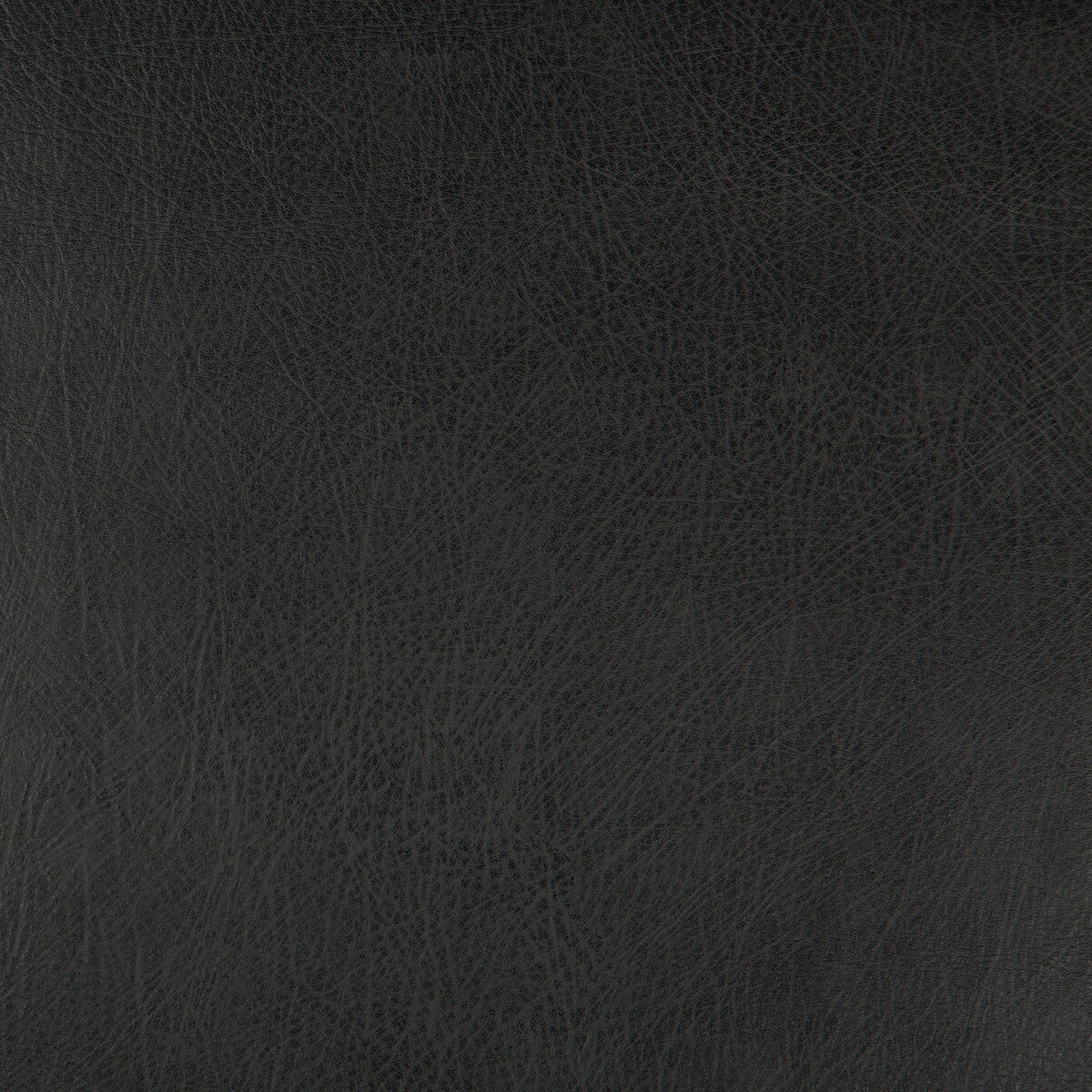 KRAVET DESIGN KRAVET DESIGN DEIMOS-8