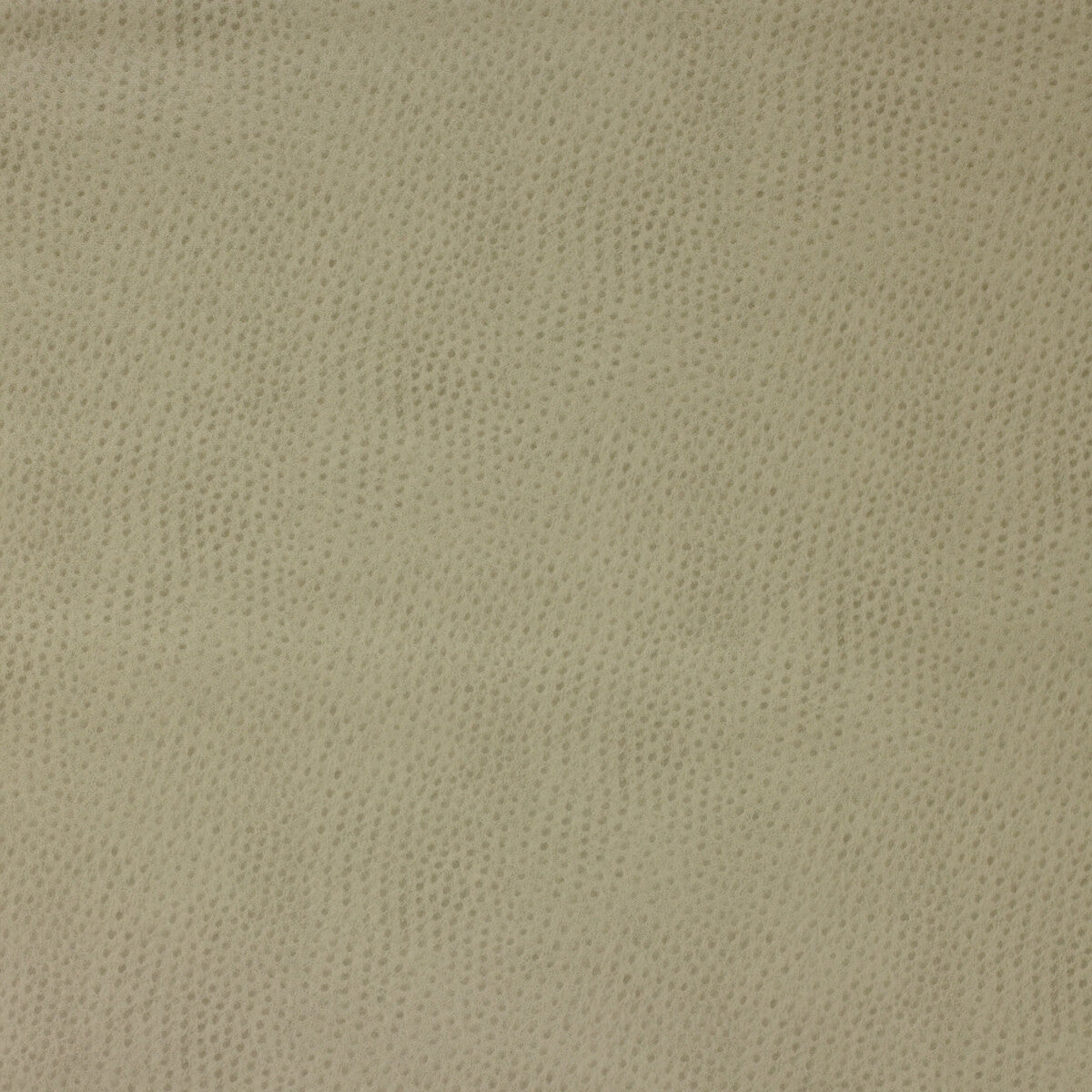 KRAVET DESIGN KRAVET DESIGN DELANEY-106