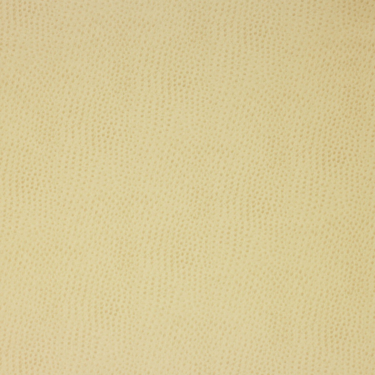 KRAVET DESIGN KRAVET DESIGN DELANEY-116