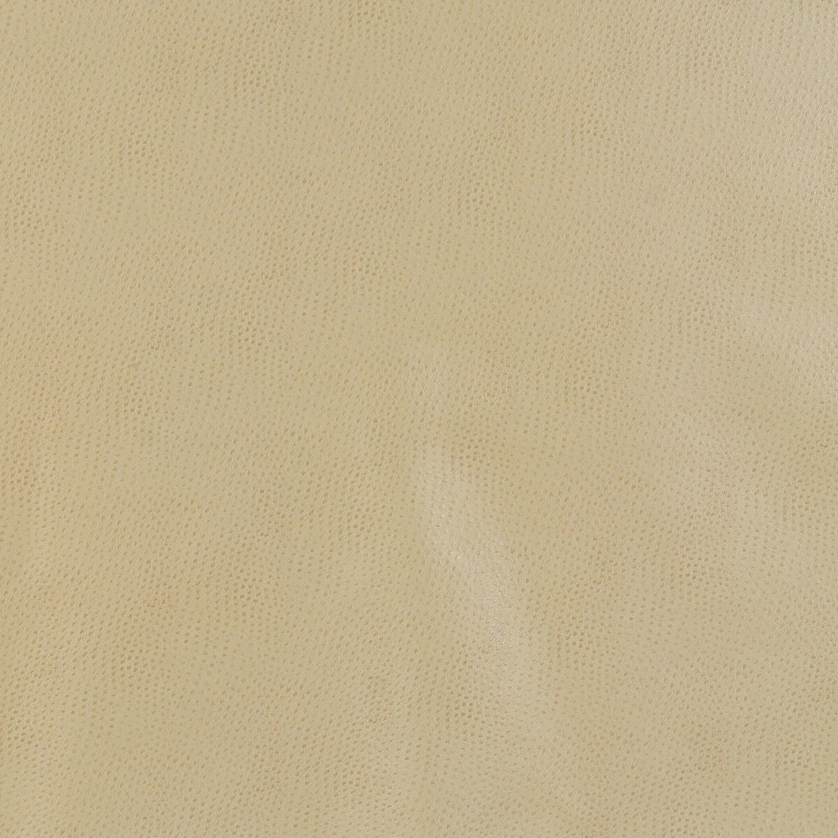 KRAVET DESIGN KRAVET DESIGN DELANEY-16