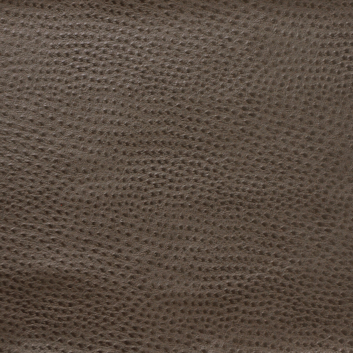 KRAVET DESIGN KRAVET DESIGN DELANEY-2121