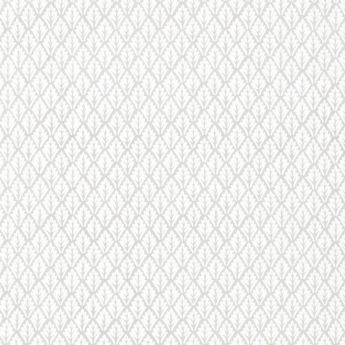 KRAVET BASICS DORSO PORCINI