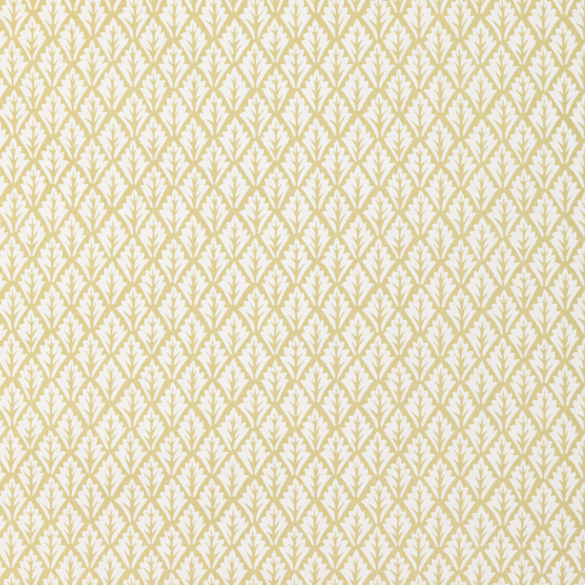 KRAVET BASICS DORSO MAIZE
