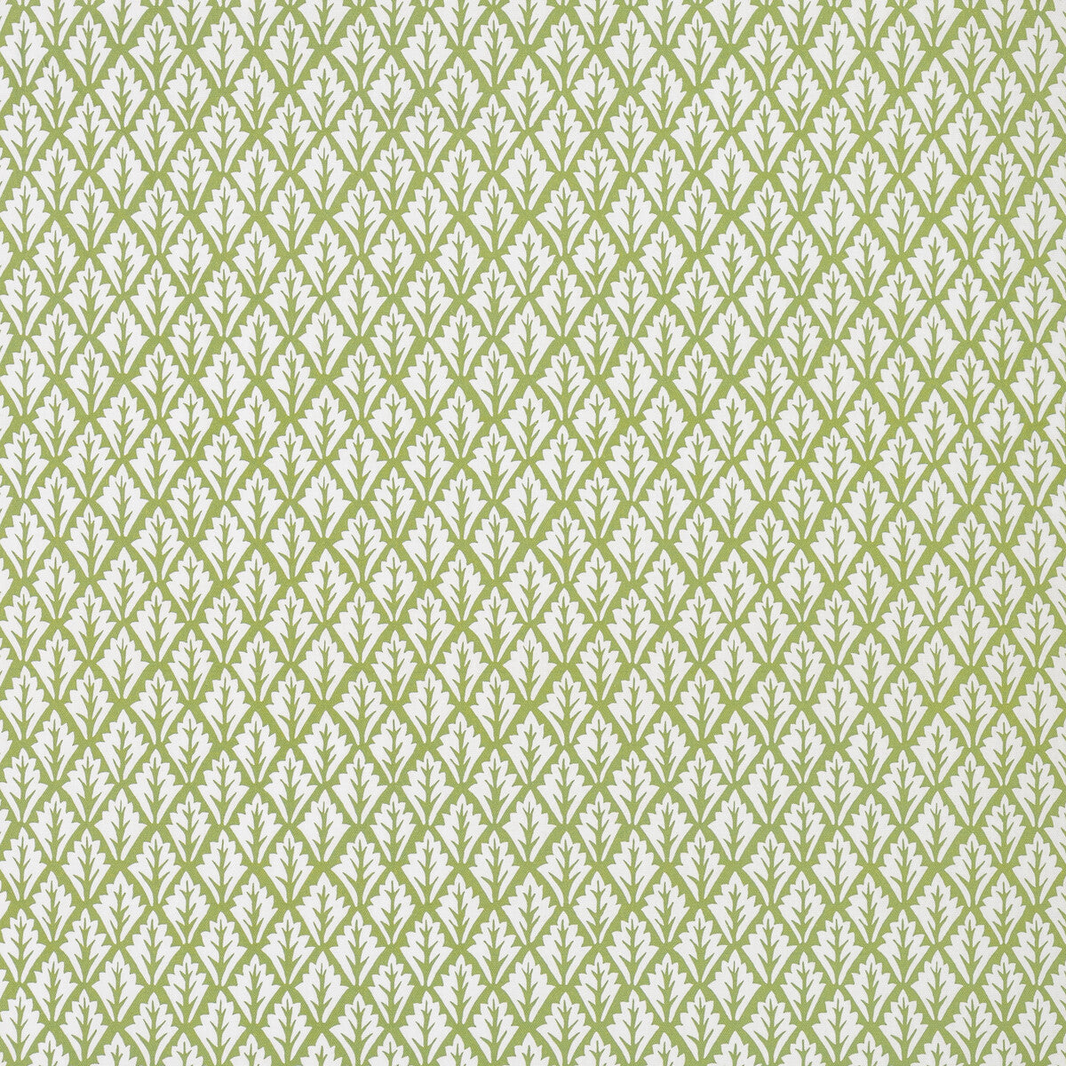 KRAVET BASICS DORSO OLIVE