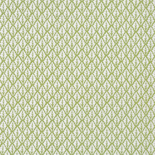 KRAVET BASICS DORSO OLIVE