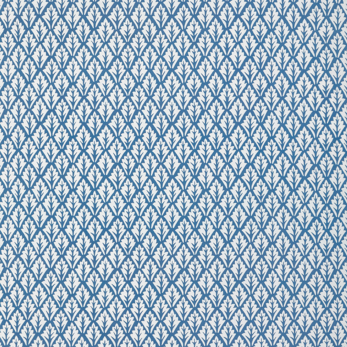 KRAVET BASICS DORSO ADRIATIC
