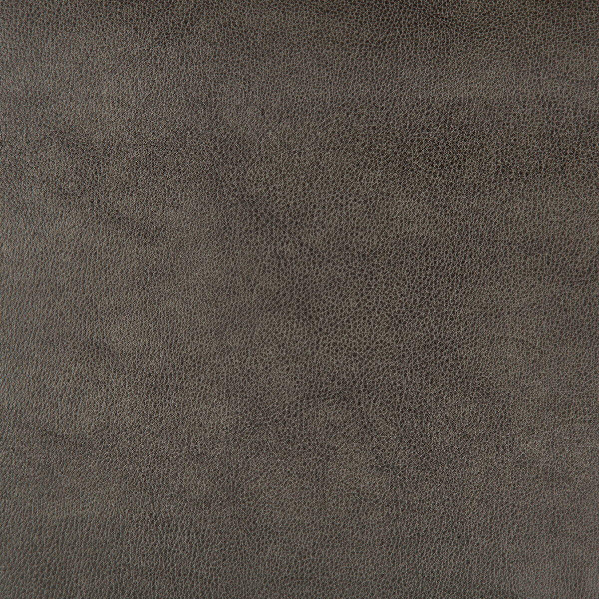 KRAVET DESIGN KRAVET DESIGN DUST-21